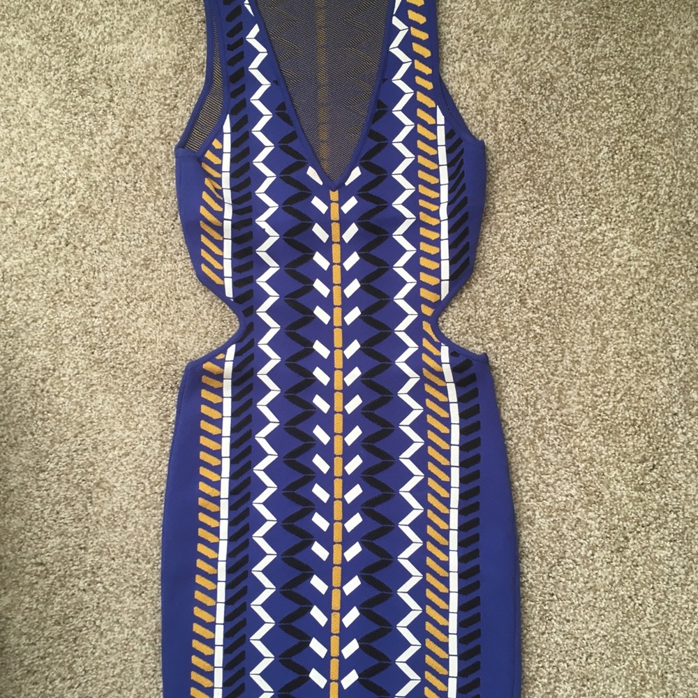 Torn by Ronny Kobo Tribal Alexa cutout dress.